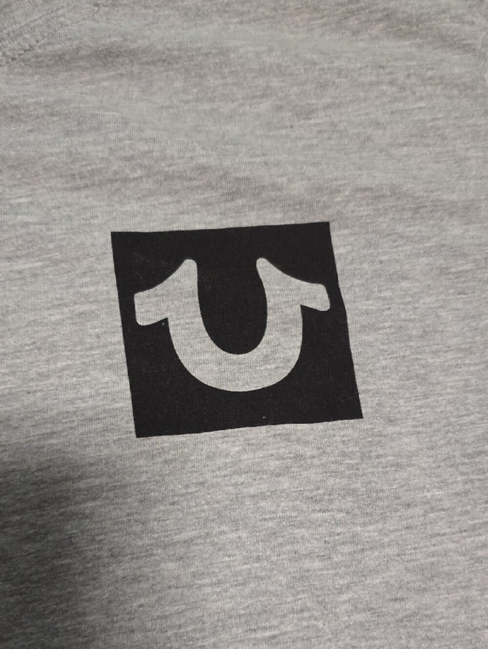 True Religion Light Gray Long Sleeve Logo Tee with Sleeve Graphics - Picture 3 of 8